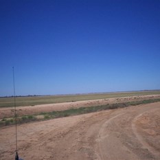 Wheat being grown on the floor of the Turkey nest dam