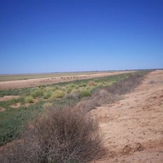 Turkey nest dam wall