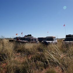 The explorers steeds amongst the spinifex