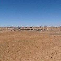 Waterhole at Onetree