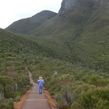 Bluff Knoll 