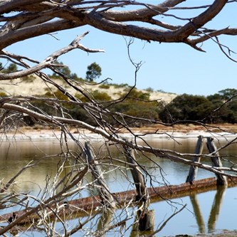 Well 40 in 2006 - What a difference