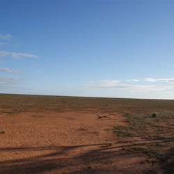 It's a stark front yard all right!