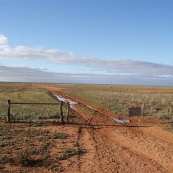 The Nullarbor plains