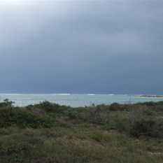 Osprey Campsite - Cape Range