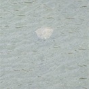 A fresh water ray? - Yardie Creek