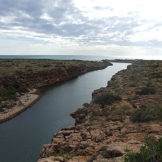 Yardie Creek looking out to sea