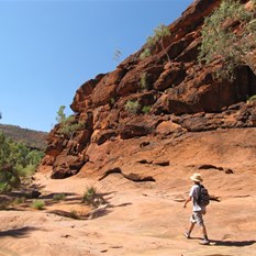 Heading for the shade!