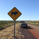 Good roads...no bull!