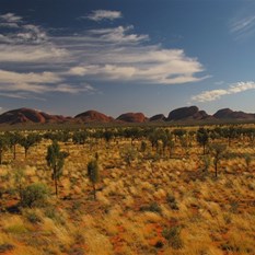 The Kata Tjuta complex