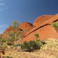 Between the lookouts