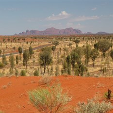 Distant Kata Tjuta