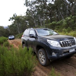 3 door Prado at Mt Canobolas, Orange NSW