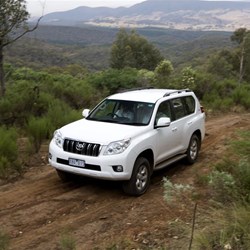 Mt Canobolas, Orange NSW