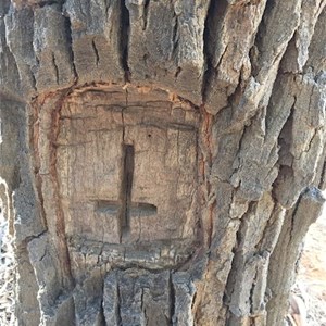 A mark on another tree
