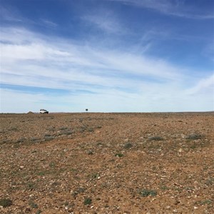 The Desert Ground or rock farm