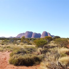 The domes of the Olgas (Kata Juta) from the west