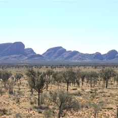 Kata Juta from the southern viewing platform