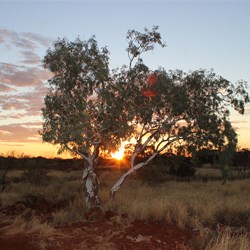 Hamelin Station Stay