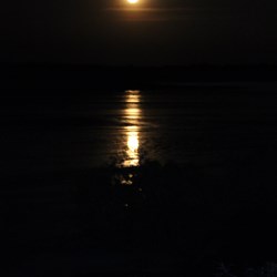 Stair case to the Moon Cygnet bay