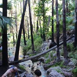 Zebedee Springs