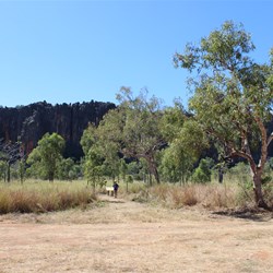 Windjana Gorge