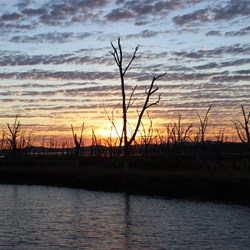 Sunset At Zebra Rock Mine