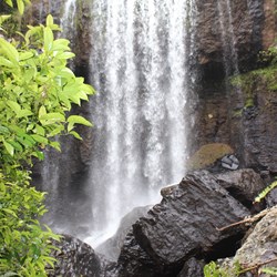 Ellinjaa Falls