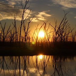 Sunset Lake Argyle