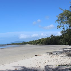 Cape Tribulation Beach