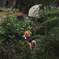Zip Linning At Cape Tribulation