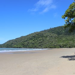 Daintree