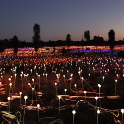 Field Of Lights At Ayres Rock