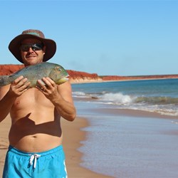 James Price Point Tusk Fish