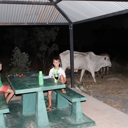 Spring Creek Rest Area