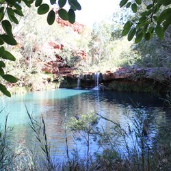Fern Pool