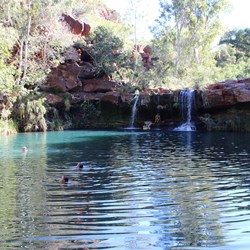 Fern Pool
