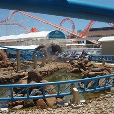 Seaworld's Jet Rescue !