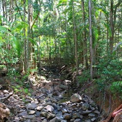 Buderim Forest Park
