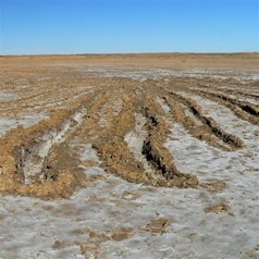Scars of Fun at Lake Eyre South 