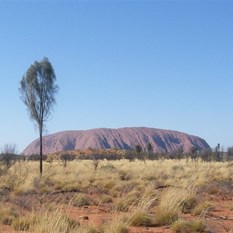 Uluru