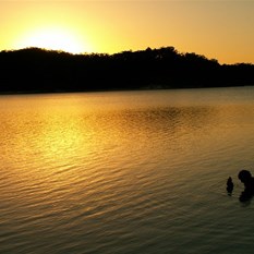 Have a quiet beer in lake McKenzie - at Dusk