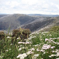 The High Country, Victoria