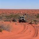 In the Simpson Desert