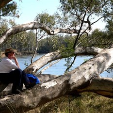 Beside The Murray River