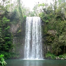 Milla Milla Falls, North Qld