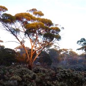 Home Sweet Home, travelling style