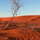 Simpson Desert