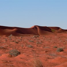 Simpson Desert Dune