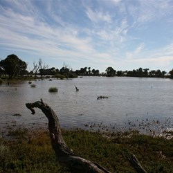 Water Way at Beresford RW Siding.
